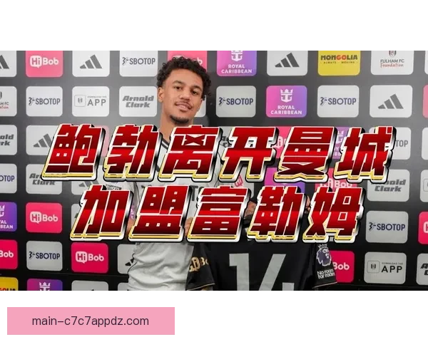 富勒姆领跑鲍勃争夺多特筹追逐